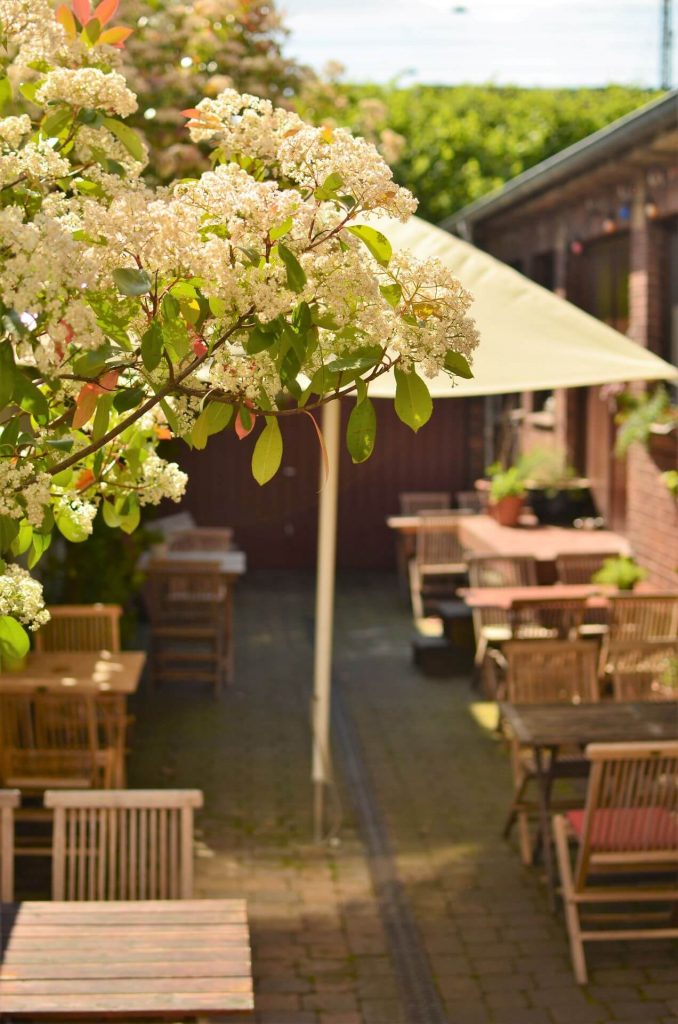Der Garten im Prütt Café in Münster: Gemütlich unter einem Sonnenschirm